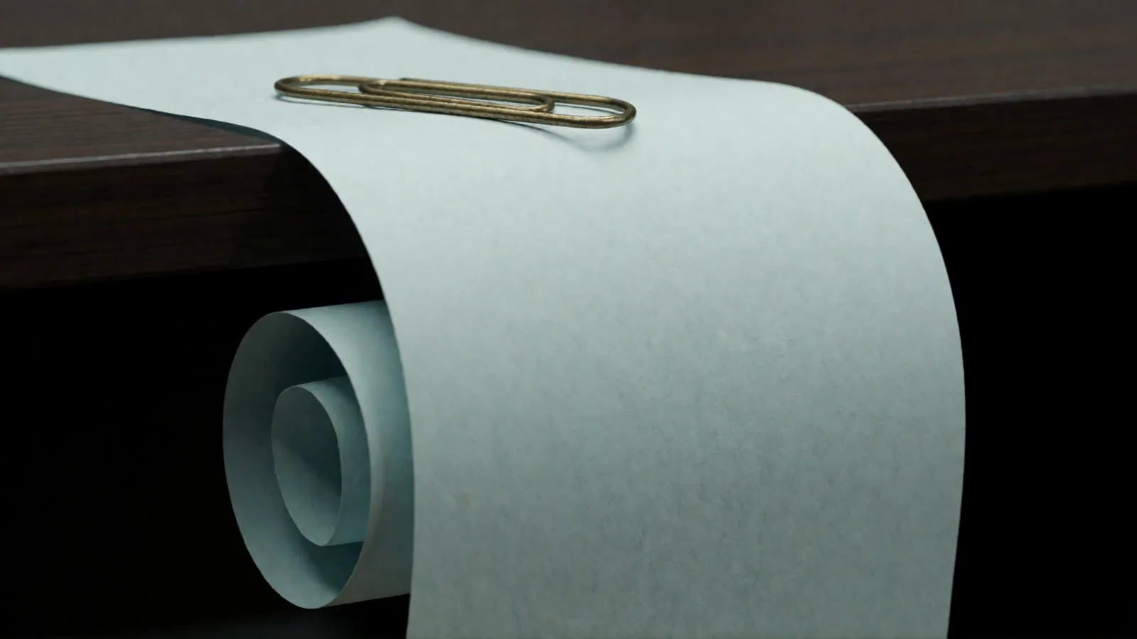 A long concertina of blank pages opened across a desk and lit from the side, every page unprinted